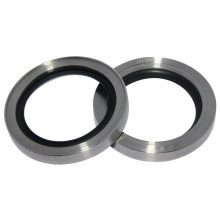 Double Lip Stainless Steel PTFE Oil Seals